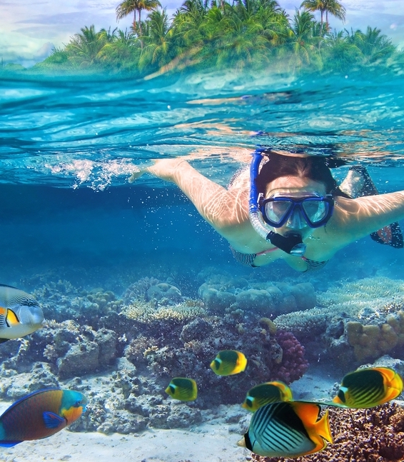 Experience Coral Coast