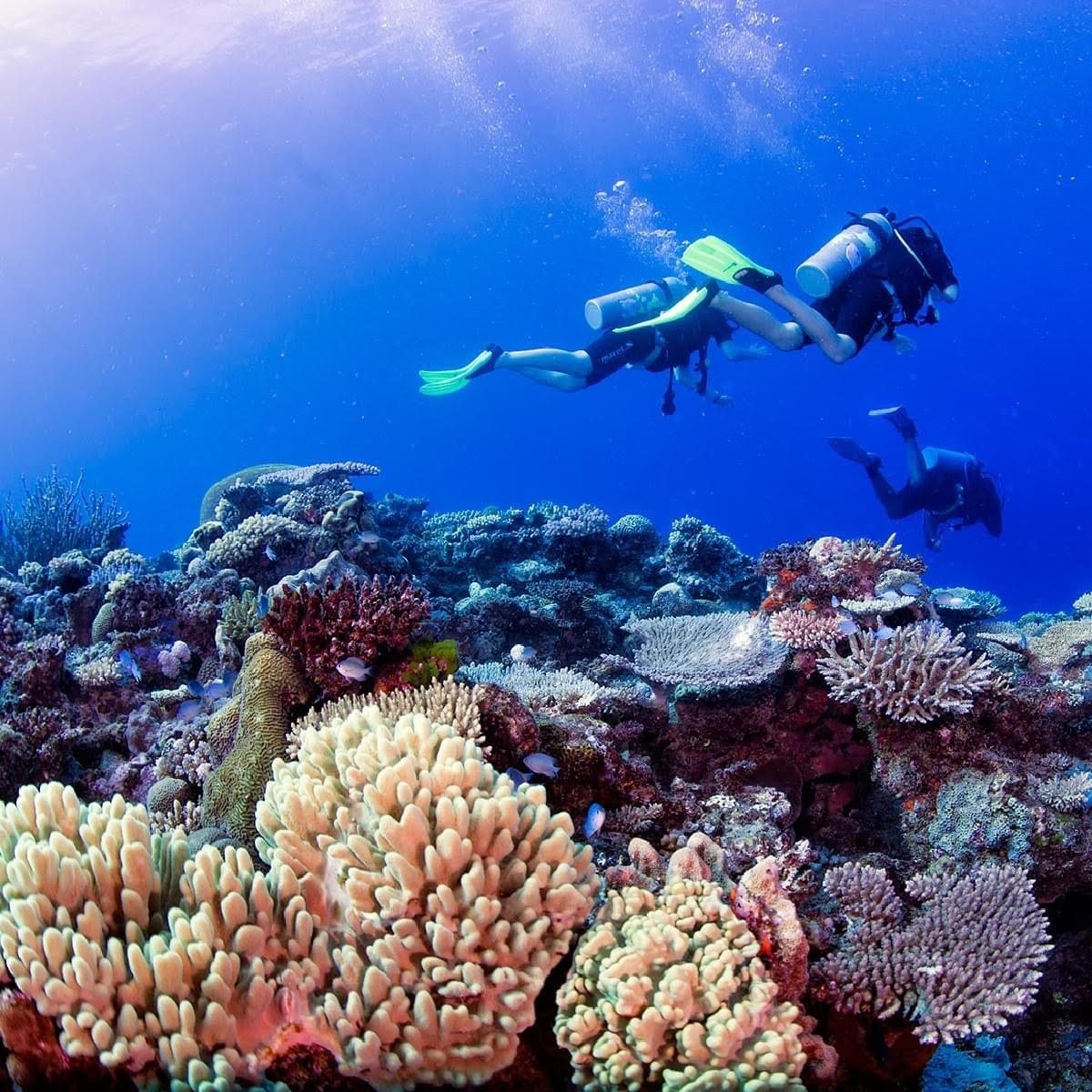 Try Scuba Diving from Denarau — Two Dives, No Experience Needed