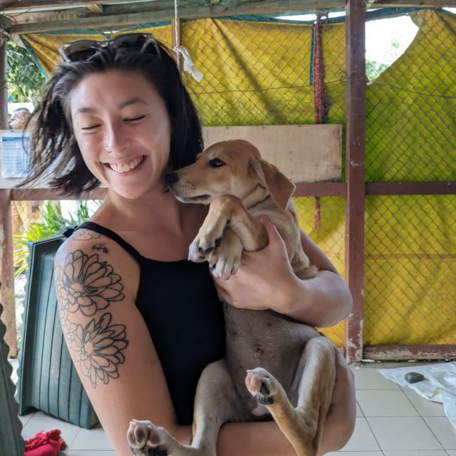 Animals Fiji