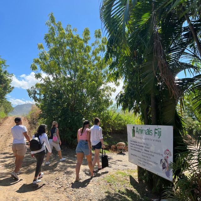 Animals Fiji — Nadi