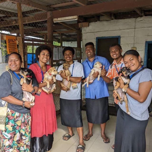 Animals Fiji — Nadi