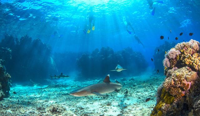 Barefoot Kuata Island Resort — Yasawa Islands