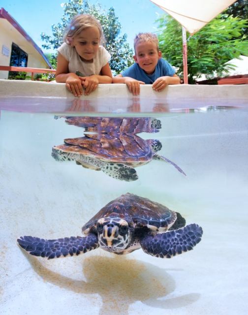Kula WILD Adventure Park — Coral Coast