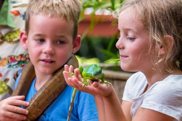 Kula WILD Adventure Park — Coral Coast