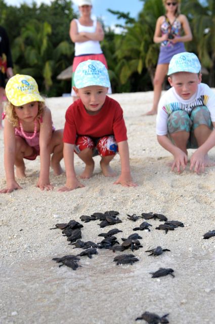 Nakelo Treasure Island Resort & Spa Fiji. — Mamanuca Islands
