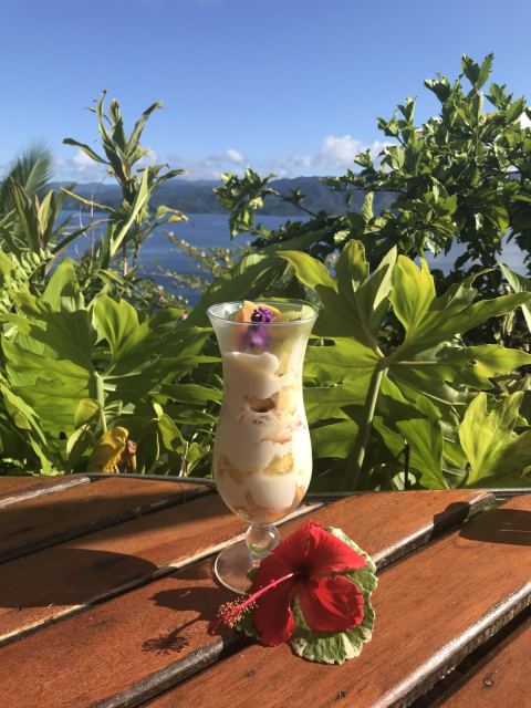 Naveria Heights Lodge Fiji — Vanua Levu