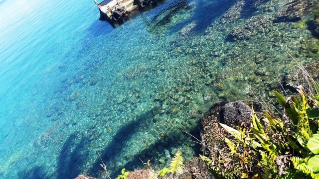 Paradise Taveuni — Taveuni