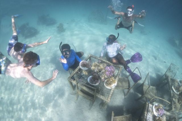 Plantation Island Resort — Mamanuca Islands