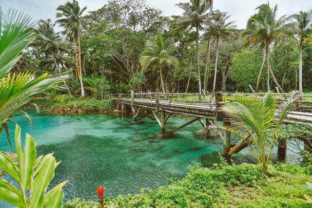 Savasi Island Resort — Vanua Levu