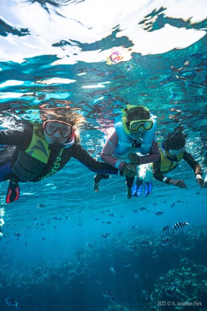 South Sea Cruises — Denarau