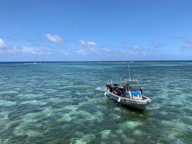 Tokoriki Diving — Mamanuca Islands