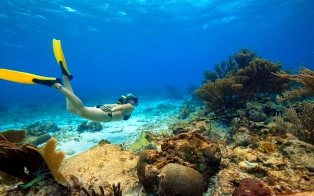 TradeWinds Experience — Denarau