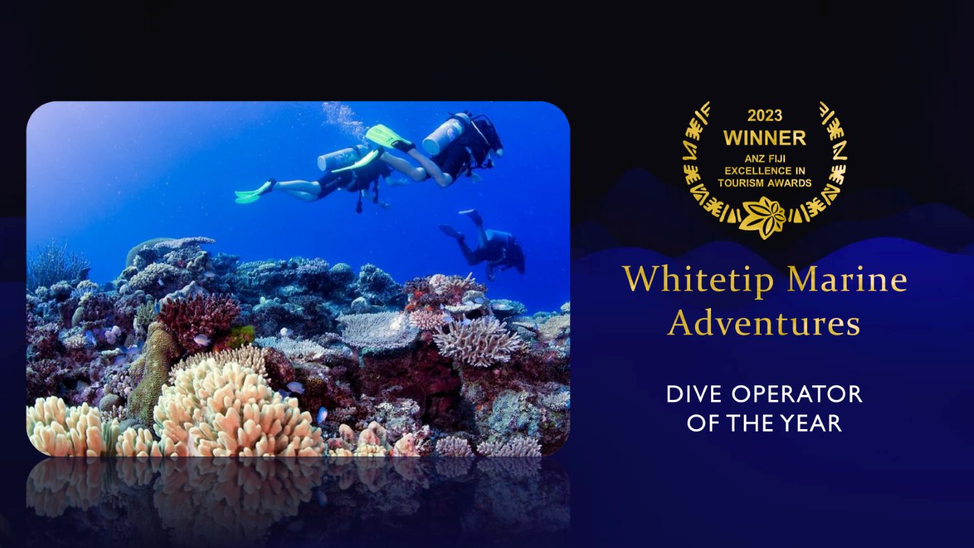 Whitetip Marine Adventures - Denarau — Denarau