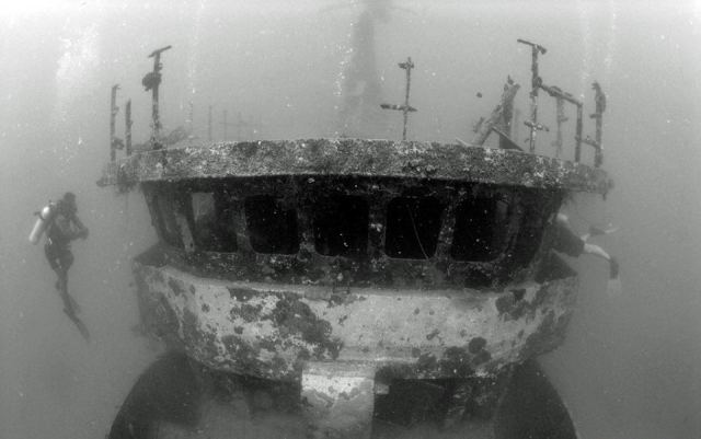 Whitetip Marine Adventures - Denarau — Denarau