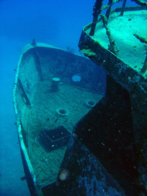 Whitetip Marine Adventures - Denarau — Denarau